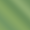  Matcha Green
